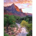thumbnail image 2 of Talbot Frank, Christopher 12x14 White Modern Wood Framed Museum Art Print Titled - Utah, Zion NP at Sunset, 2 of 4