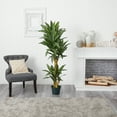 thumbnail image 4 of Nearly Natural 5ft. Yucca Silk Plant, Green, 4 of 5