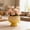 Yellow, variant on CaiYueKe Ceramic Flower Pot for Succulents Small Plant Pots Indoor with Drainage Hole Modern Decorative Planter Bonsai Container for Home Garden Office Desk Decor Cute Mini Houseplant Pots for Plants