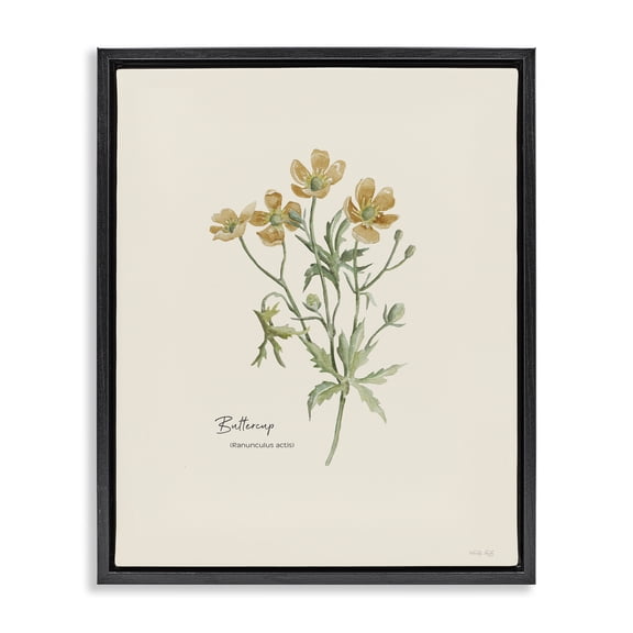 Stupell Industries Simple Buttercup Flowers Botanical & Floral Painting Black Floater Framed Art Print Wall Art, 17 x 21