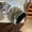 green, variant on Autumn And Winter Japanese Style Solid Color Pile Up Hats For Children To Look Small And Fashionable With A Bare Face. Cold Hats With A Lazy Style And A Loose Hood