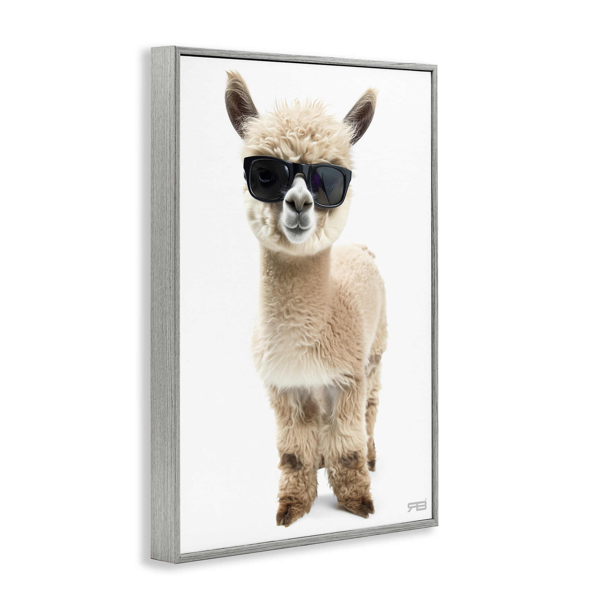 Stupell Industries Cool Alpaca & Glasses Animals & Insects Painting Gray Framed Art Print Wall Art, 20 x 30