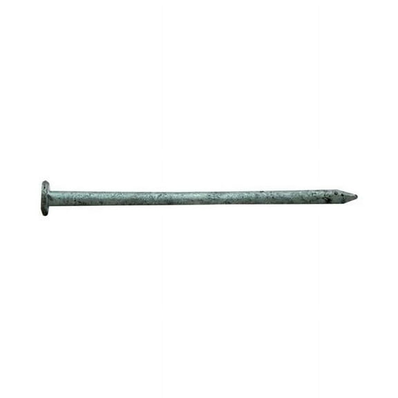 HDG COMMON NAIL 1-1/2"1#