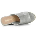 thumbnail image 4 of BLISSFUL STEP Women's Open Toe Slip-On Platform Wedge Heel Wedge Sandals Gray 9, 4 of 6