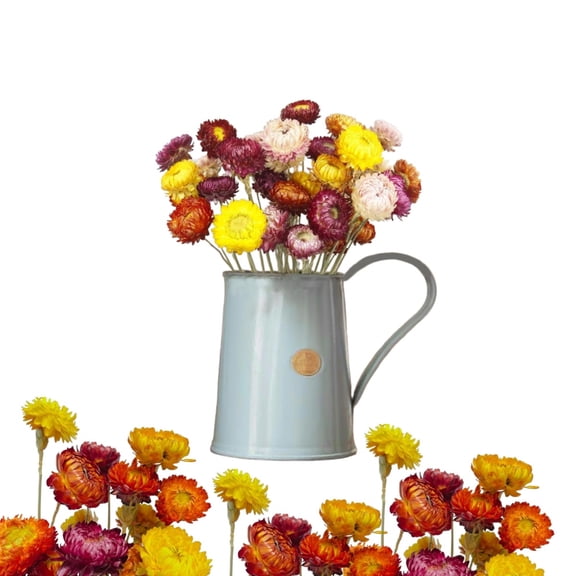 Multicolor Daisies,Pack of 20 Dry Fall Flowers Bouquets for Home,QZS Portable Floral Bouquet,Table Decoration for Home,Party,Vase