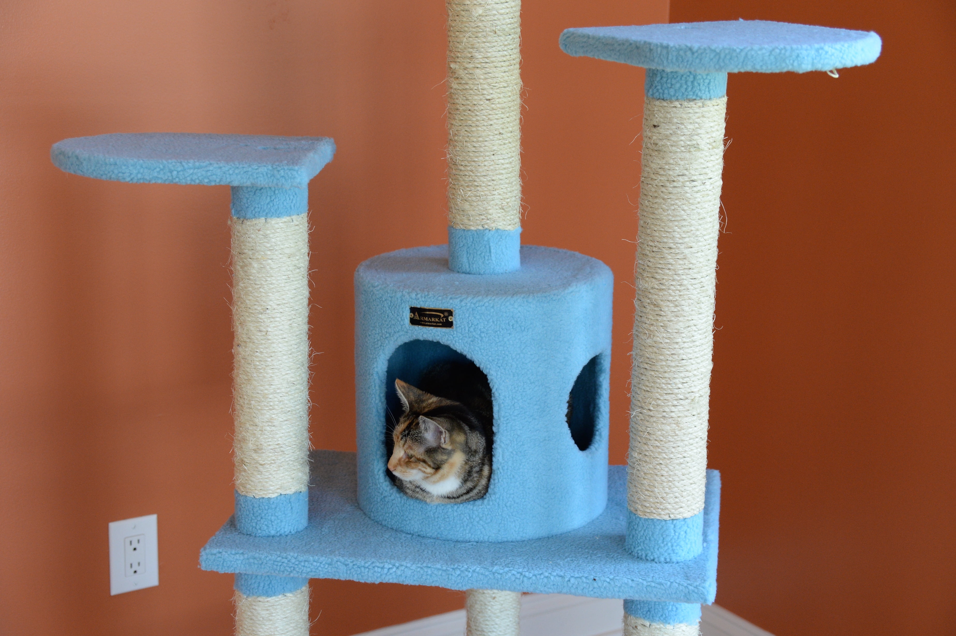 Armarkat Classic 65-Inch Real Wood Cat Tree, Model B6605, Sky Blue