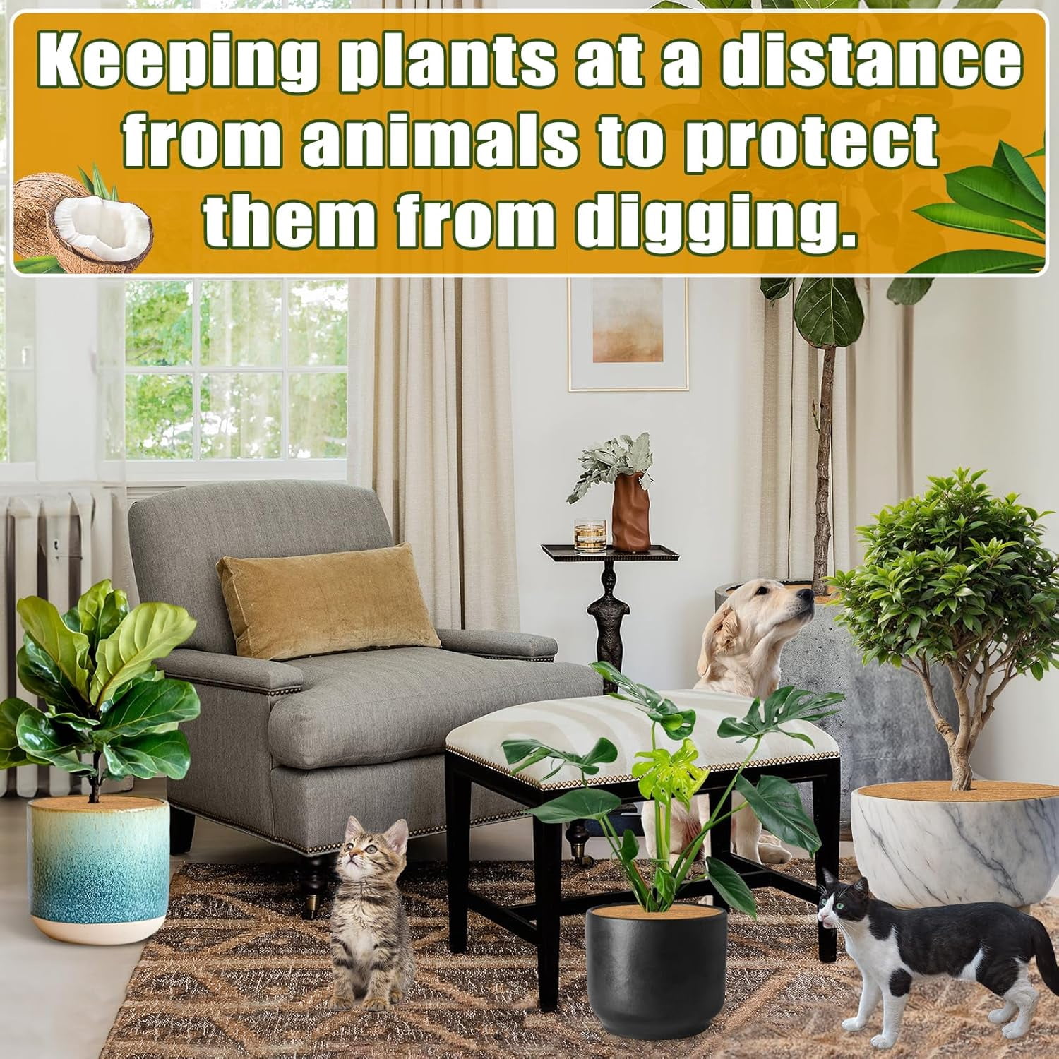 ZeeDix 6 Pcs Coconut Fibers Mulch Ring Tree Protector Mat, 17.8 Inch Coco Coir Tree Protection, Tree Ring Mats Tree Disc Plant Cover for Indoor or Outdoor