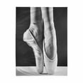thumbnail image 3 of Elegant Ballet Shoes Ballerina's Pointes Cotton Linen Tapestry Wall Art Home Decor, Tapestries Wall Hanging Art Sets, 51W X 60L Inch, 3 of 3