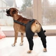 thumbnail image 1 of Adjustable Canine Hip Brace with Leg Support and Protective Joint Wrap for Recovery, 1 of 5