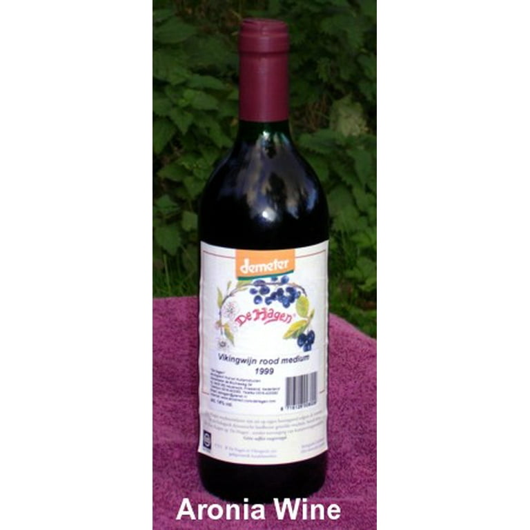 Viking Chokeberry Plant - Aronia - Shrub/Bonsai/Wine - 3.25" Pot