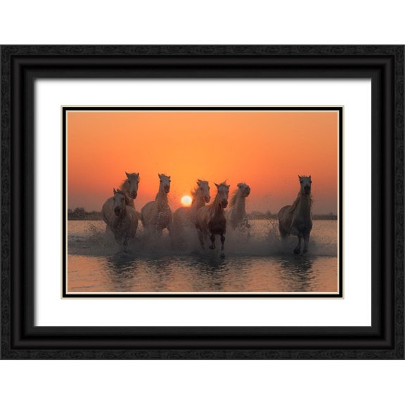 Anton, Rostovskiy 24x17 Black Ornate Wood Framed with Double Matting Museum Art Print Titled - Sunset in Camargue