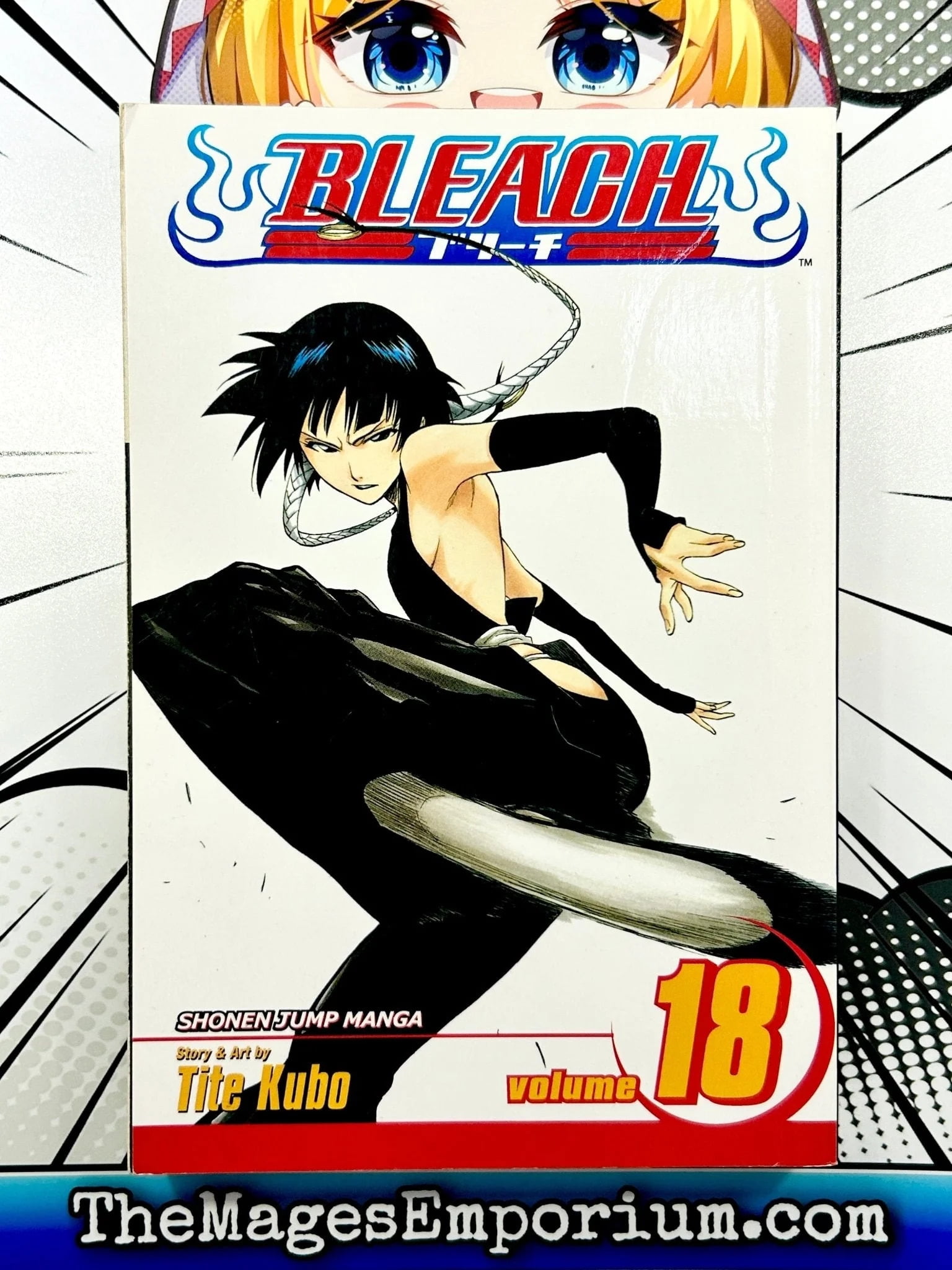 Bleach: Bleach, Vol. 18 (Series #18) (Paperback) - Walmart.com