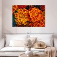 thumbnail image 2 of Elephant Stock Marigold Flowers Wall Art - Horizontal Canvas Wall Art - Living Room Wall Decor - Floral And Botanical Canvas - Orange And Teal Decor - 45" x 30", 2 of 8