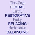 thumbnail image 3 of Plant Therapy Organic Clary Sage Essential Oil 10 mL (1/3 oz) 100% Pure, Undiluted, Natural Aromatherapy, 3 of 8