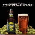 thumbnail image 3 of Sierra Nevada Torpedo Extra IPA Craft Beer, 12 Pack, 12 fl oz Bottles, 7.2% ABV, 3 of 9