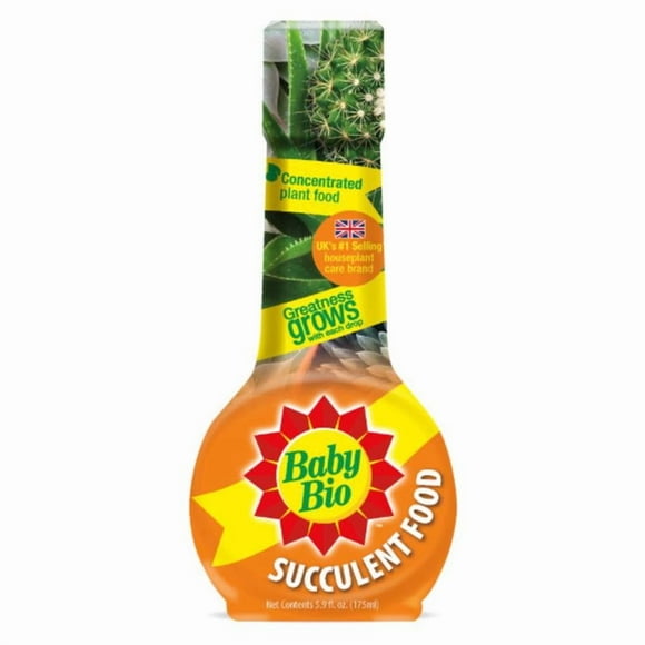 Plante FD SUCLNT 5.9OZ (Lot de 12)