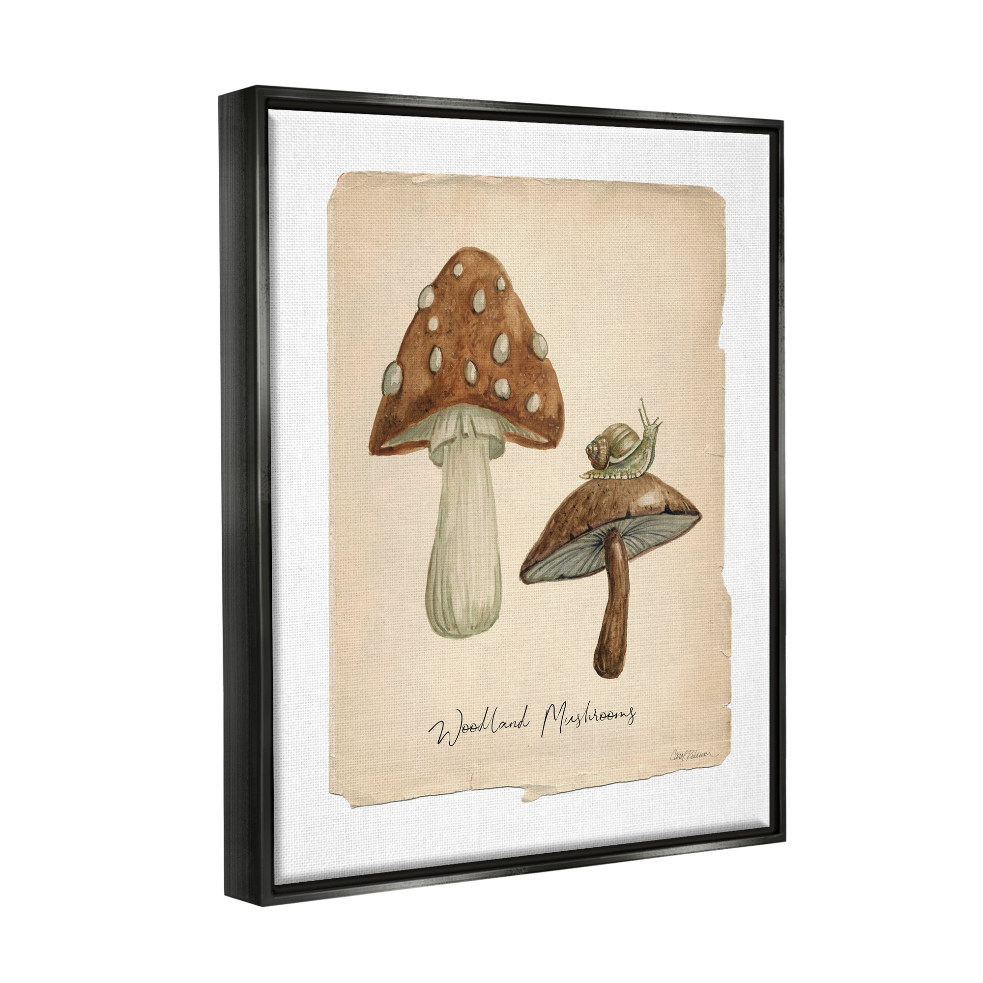 Stupell Industries Woodland Mushrooms & Snail Botanical & Floral Painting Black Floater Framed Canvas Art Print Wall Art, 17 x 21