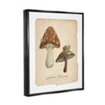 thumbnail image 4 of Stupell Industries Woodland Mushrooms & Snail Botanical & Floral Painting Black Floater Framed Canvas Art Print Wall Art, 17 x 21, 4 of 10