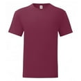 thumbnail image 1 of Fruit Of The Loom Mens Iconic T-Shirt, 1 of 4