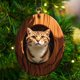 thumbnail image 1 of Colgante navideño | Decoración navideña de acrílico para árbol, corona, chimenea y hogar | Regalo para familiares, amigos y compañeros de trabajo, 1 of 5