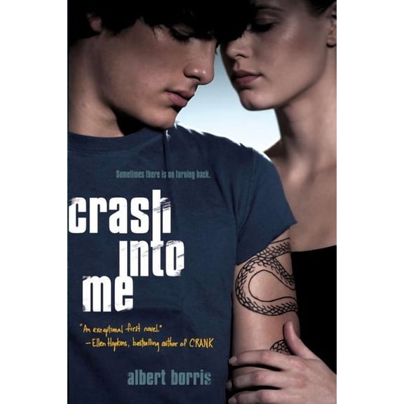 Crash into Me (Paperback)