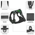 thumbnail image 3 of Vsdgher Dinosaur and Bone Pattern Dog Harness,No Pull Pet Harness with Soft Padded Handle,Adjustable Reflective Vest with 2 Buckles,4 Slide Buckles,S-XL Large, 3 of 5