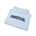 thumbnail image 4 of Pansexual Pan Pride 70s Retro LGBT LGBTQ Hoodie, Gifts, Hooded Sweatshirt, 4 of 4