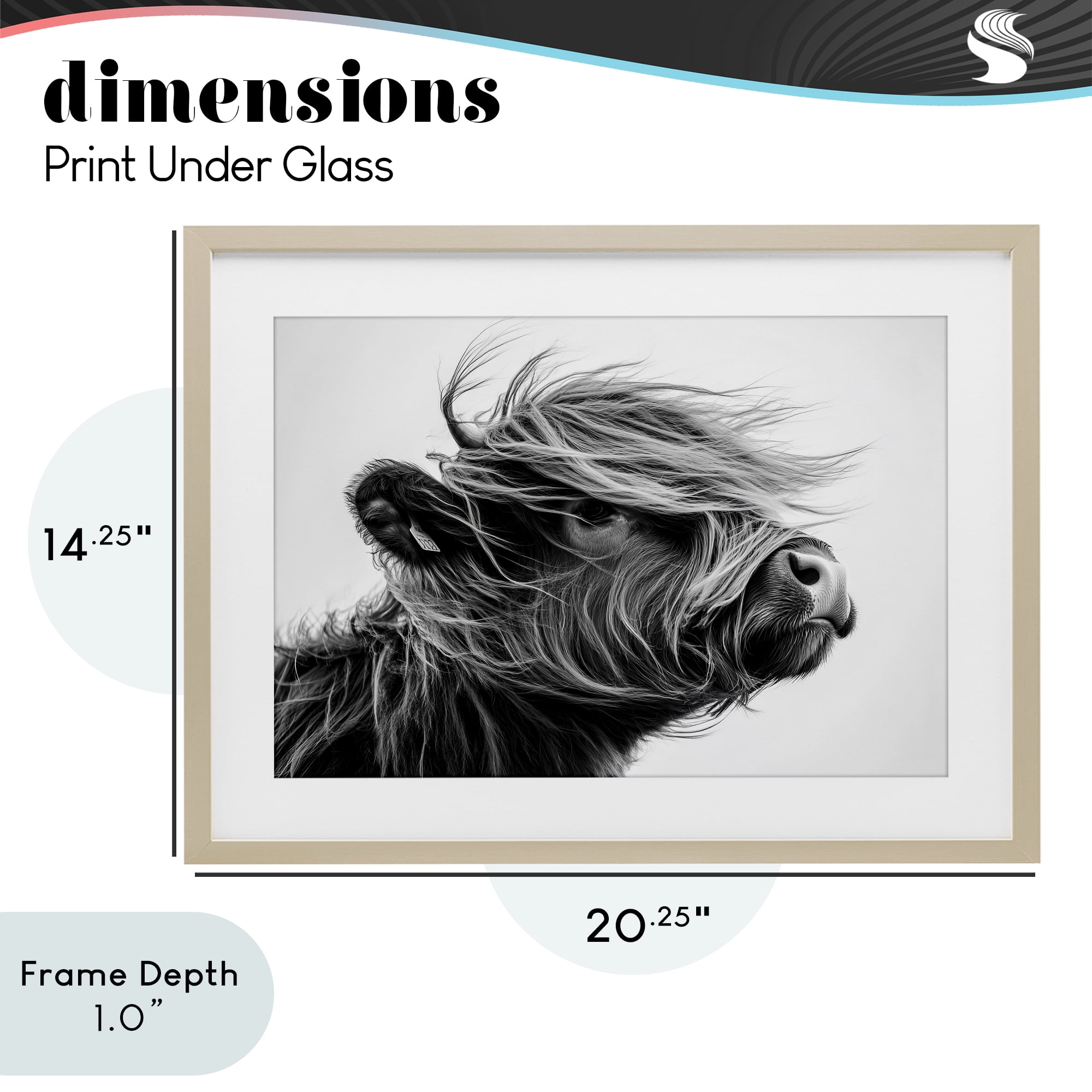 Stupell Industries Handsome Highland Portrait Birch Framed Print Under Glass, design by Tina LeCour