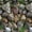 Flower Stone, variant on Faux Stone Grass Wallpaper Peel and Stick PVC Removable Self-Adhesive Kitchen Wall Decor, 32.8 Ft X 17.9 inch