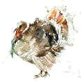 thumbnail image 2 of Robinson, Carol 12x12 White Modern Wood Framed Museum Art Print Titled - Harvest Turkey, 2 of 4
