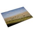 thumbnail image 3 of Print: Rural Scene, South Dakota, 2009, 3 of 4