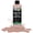 Ballet Slipper, variant on Pouring Masters Cotton Candy Pink Pouring Paint - Premium 8 Ounce Pre-Mixed Water-Based