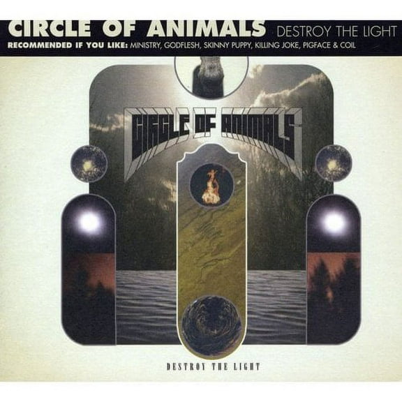 Destroy The Light