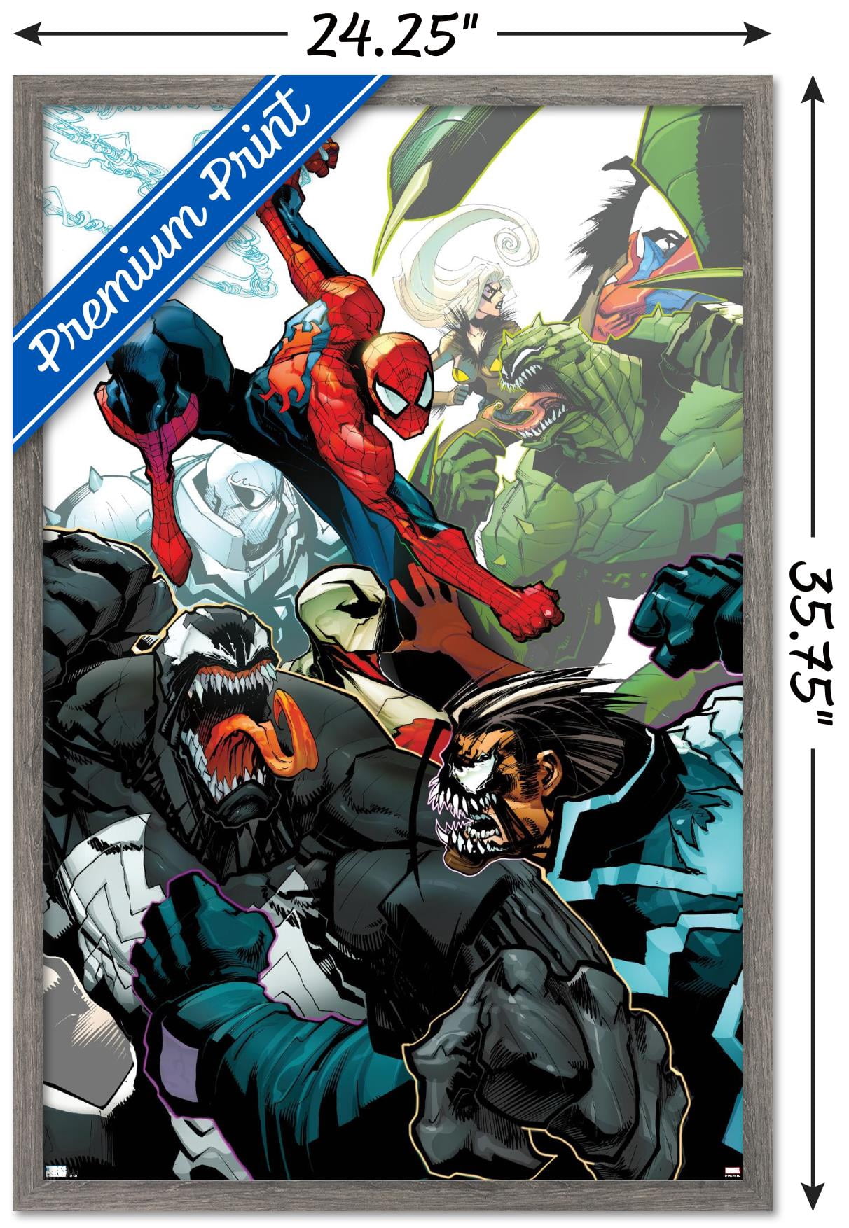 Spiderman Vs Venom Comic Book