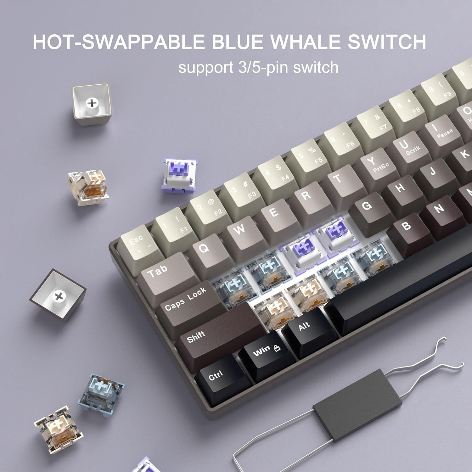 MageGee MK-Box 60% Gaming Keyboard German QWERTZ Layout, Hot-Swappable Compact Wired Mechanical RGB Keyboard with EVA Damping Foam, Ivory White Switch
