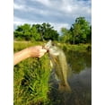 thumbnail image 4 of Hopkins Lures No=EQL Spoon 2.5oz Single Hook White, 4 of 4