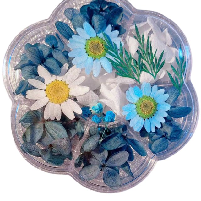Techinal Fleurs Séchées en Résine Naturelle Embossée à Sec Adaptées pour Bougies Résine Époxy Fabrication de Savon Scrapbooking Diy Art Artisanat