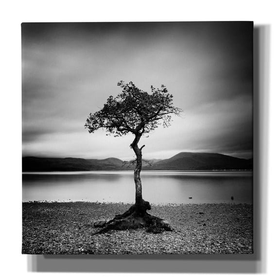 Epic Graffiti 'Millarrochy Tree' by Nina Papiorek, Canvas Wall Art, 18"x18"