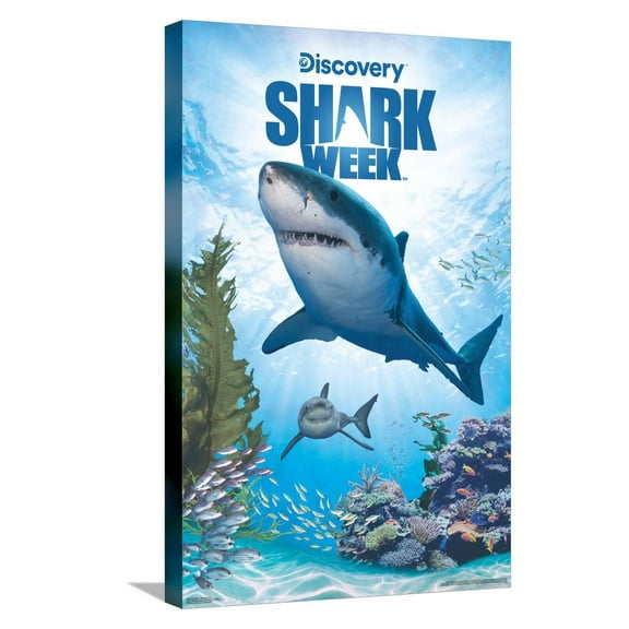 Shark Week - Shark Adventure Canvas Wall Poster, 14.725" x 22.375"
