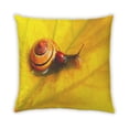 thumbnail image 2 of Ahgly Company Insects Lady Bug Indoor Throw Pillow, 18 inch by 18 inch, 2 of 6