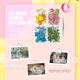 thumbnail image 5 of Flores prensadas secas para resina Coloridas flores secas reales Hojas a granel (2) Likrtyny Libre de BPA, 5 of 8