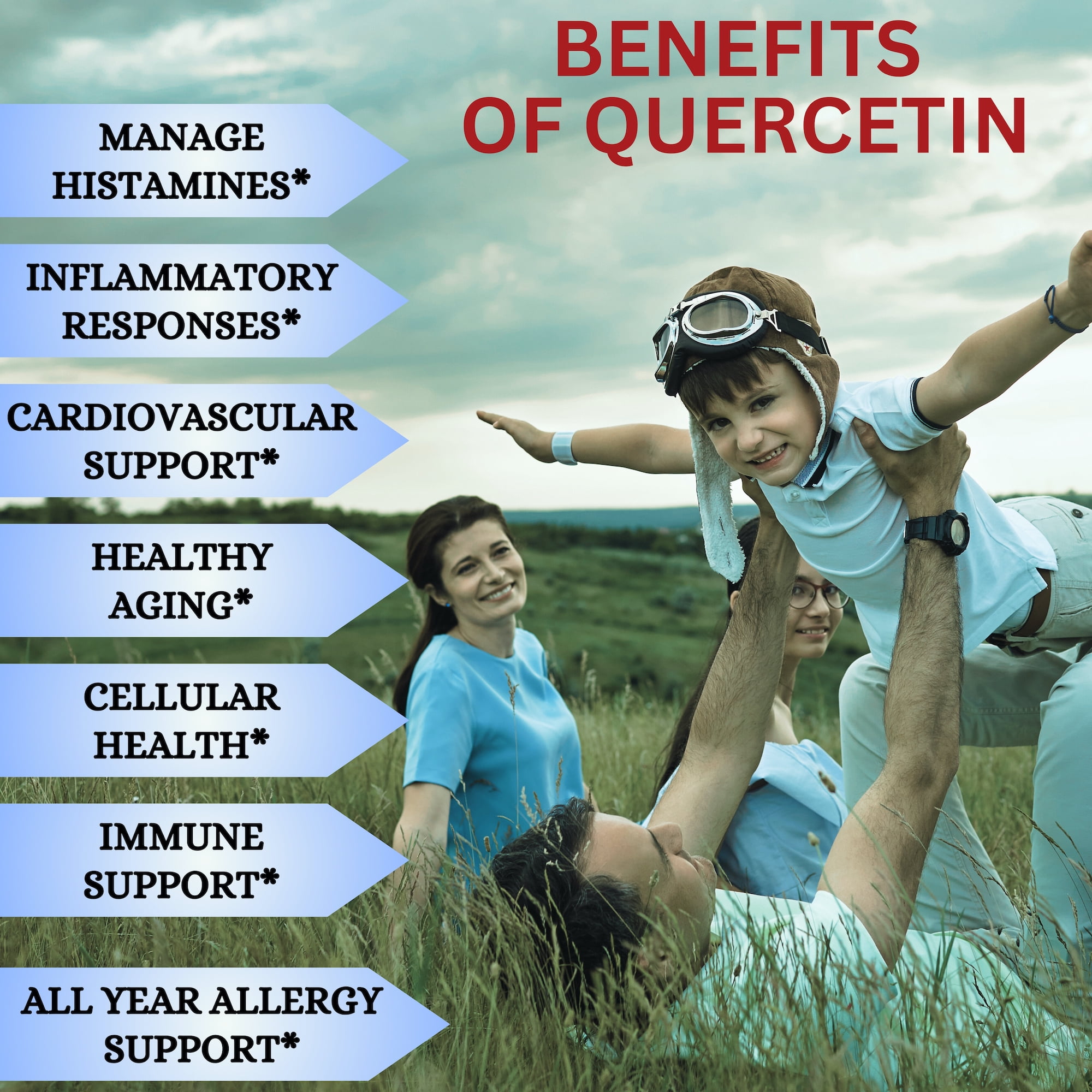 Nikoni Liposomal Spermidine Quercetin Fisetin Antioxidant and Cellular Wellness Supplement 240 Softgels