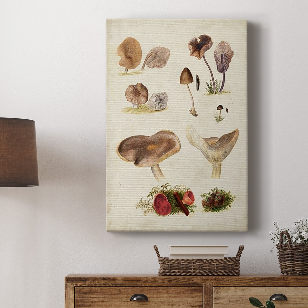Mushroom Species III Premium Gallery Wrapped Canvas - Ready to Hang