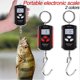 thumbnail image 1 of WH-C200 portable electronic crane scale hunting scale mini portable electronic hook scale weighs 200kg for pigs and sheep, random colors, 1 of 4