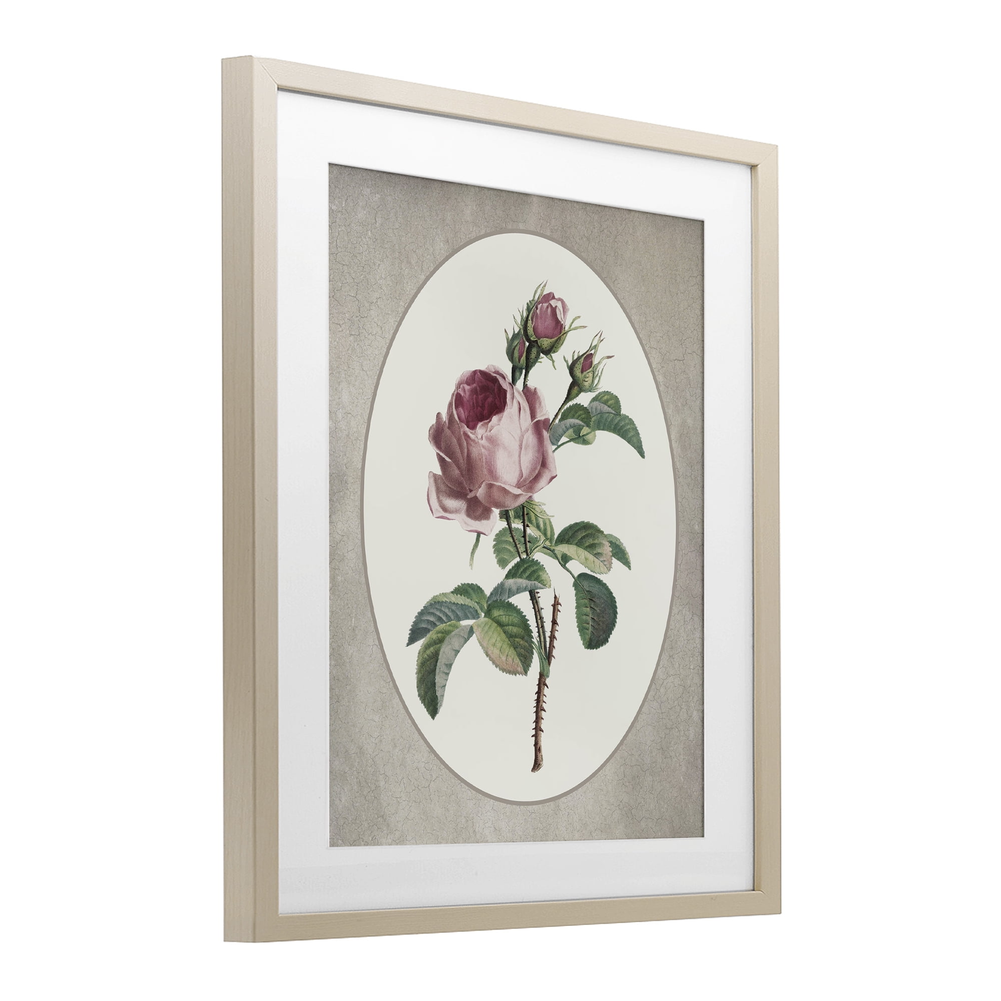 Vintage Rose within Oval Birch Framed Print Under Glass, design by Lettered and Lined