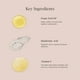 thumbnail image 5 of Polvo fijador Jouer Soft Focus Hydrate & Matte Finish, 5 of 6