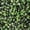 Harmony, variant on Select Surfaces Artificial Hedge Panels, 2-Pack, Choose Type