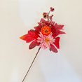 thumbnail image 2 of Décoration Maison Moderne, Pièces Décoratives d'Halloween : Fleurs d'Érable Citrouille Pomme de Pin Accessoires Rouges Festival Accessoires Colorés Automne, 2 of 4