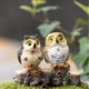 thumbnail image 2 of Figuras en miniatura de animales de resina, conejos y patos, minifiguras artesanales, macetas, adornos para jardín, suministros para jardines de hadas en miniatura, 2 of 5