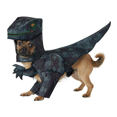 Pupasaurus Rex Dog Costume